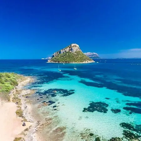 Ocean Pearl * Olbia
