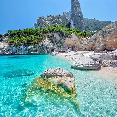 Ocean Pearl
