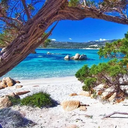 Villa Ocean Pearl Olbia